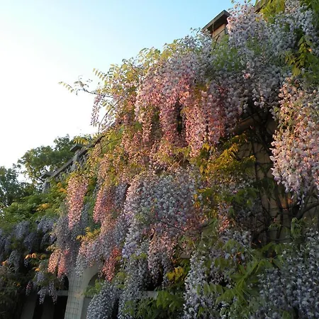 Maison Les Fraysses Bed & Breakfast