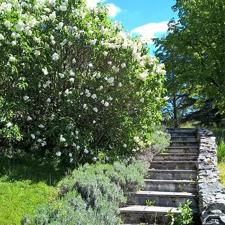 فندق مبيت وإفطار Maison Les Fraysses Bellefont-la Rauze
