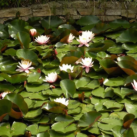 Maison Les Fraysses Bellefont-la Rauze