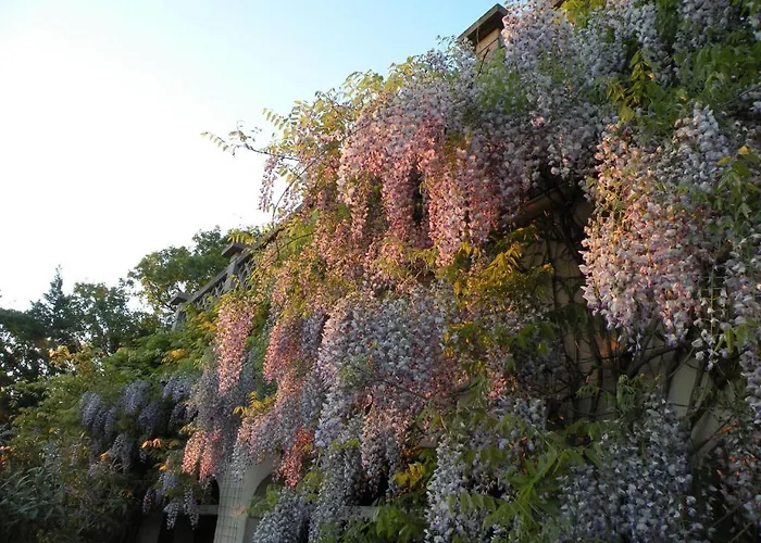 Maison Les Fraysses Отель типа 